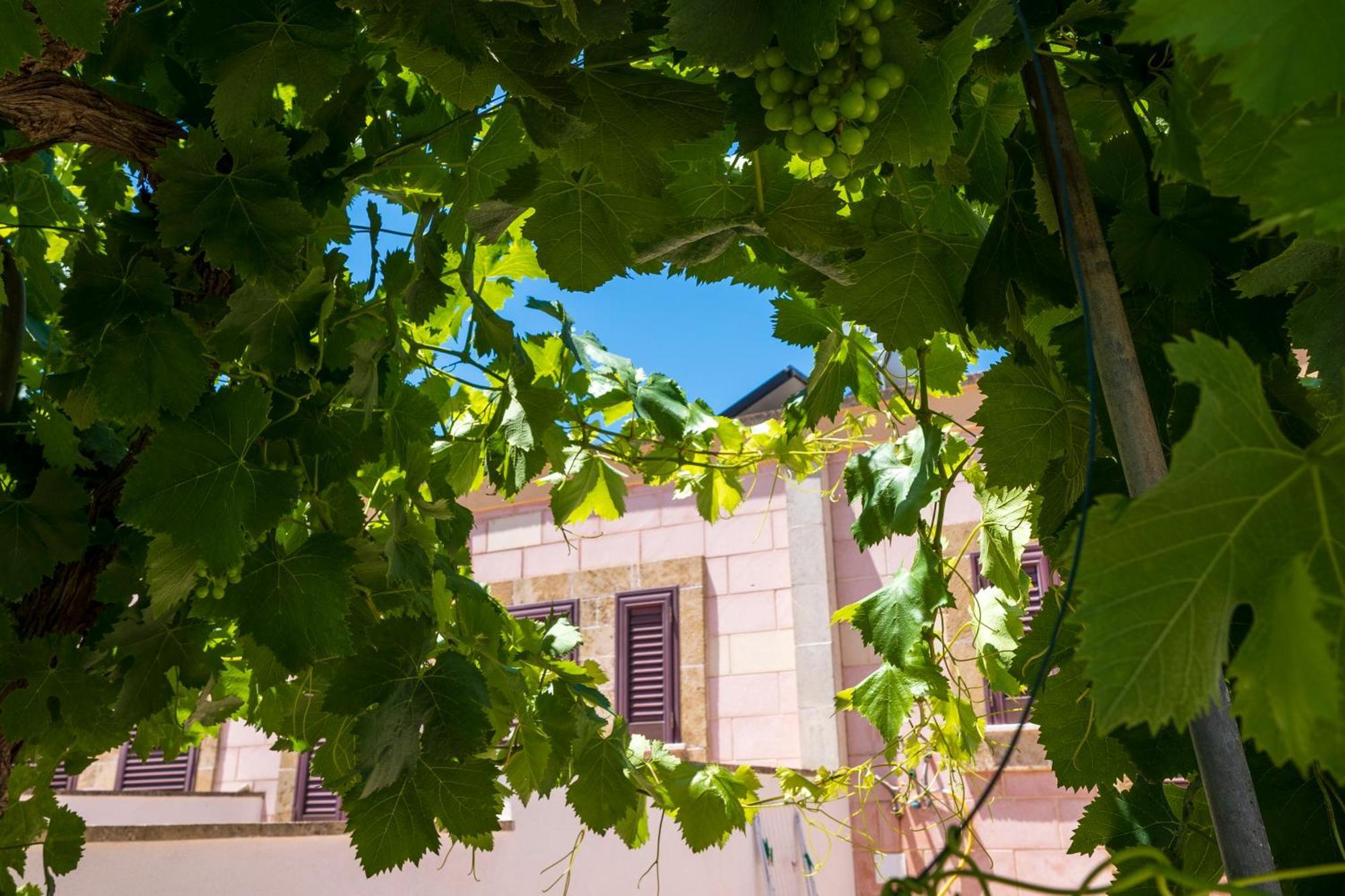 Agriturismo Masseria Le Creste Otranto Esterno foto